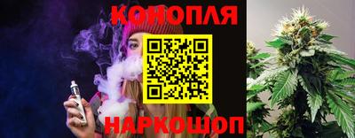 индика Можайск