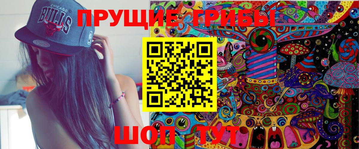 Новозыбков  Псилоцибиновые грибы MAGIC MUSHROOMS  Вход с VPN 