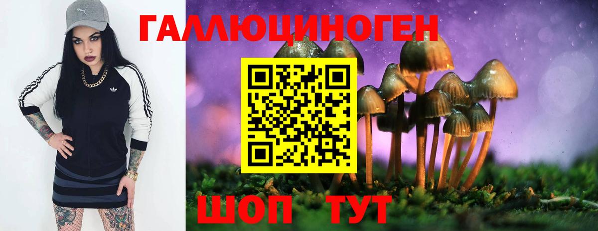 Галлюциногенные грибы Cubensis Новозыбков